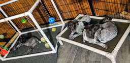 MVIMG_20190723_215945~2